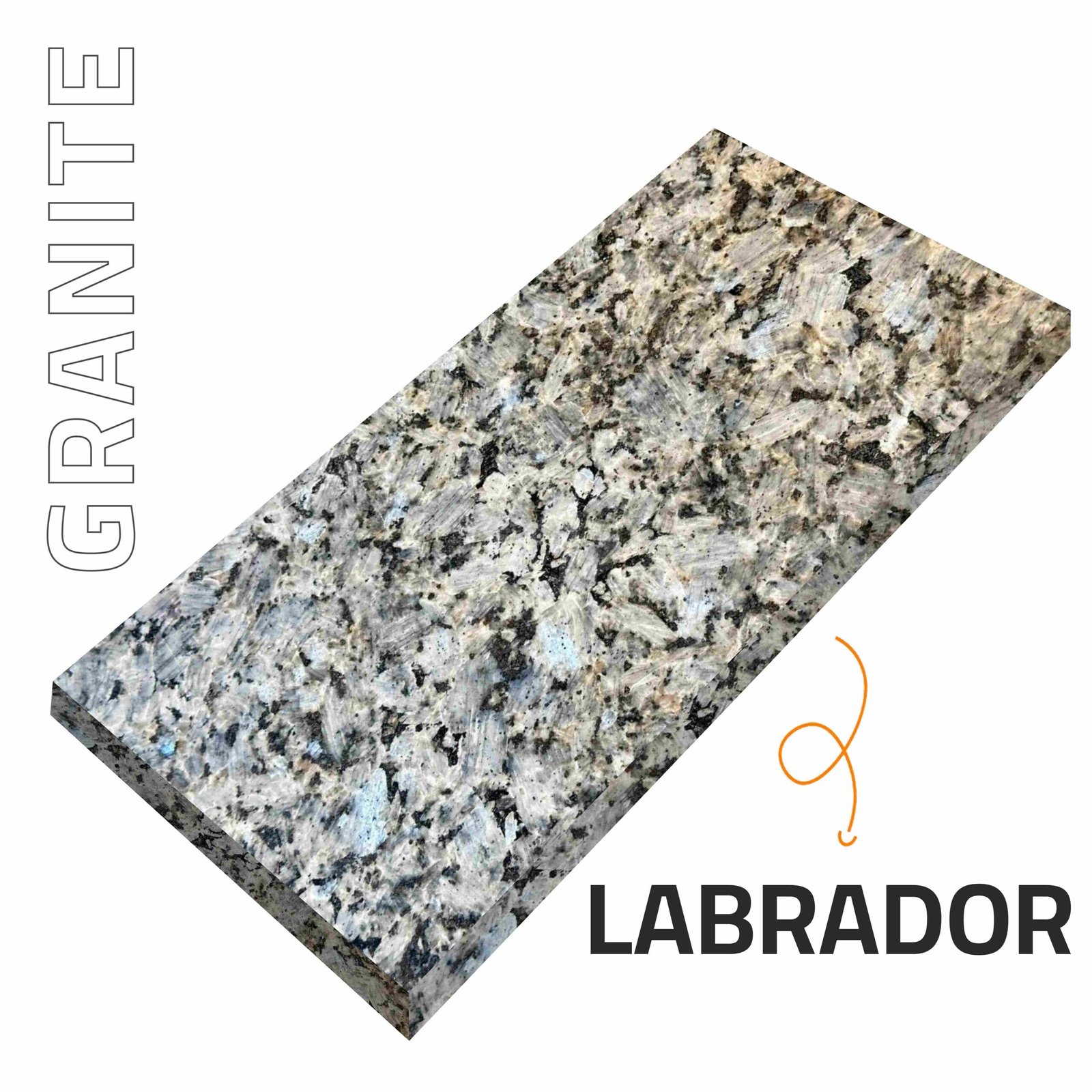 Labrador