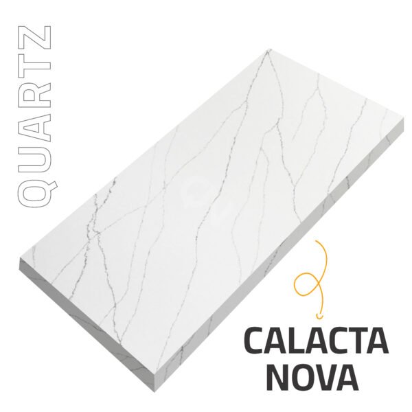 Calacta Nova 01 600x600